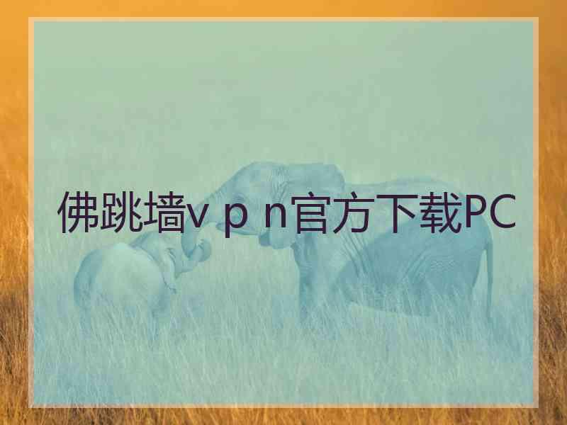 佛跳墙v p n官方下载PC