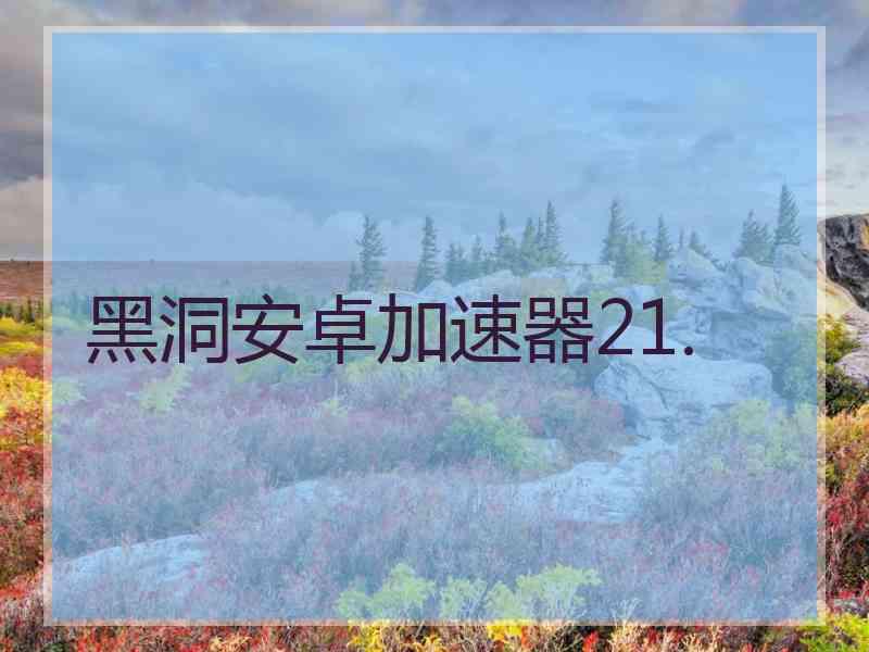 黑洞安卓加速器21.