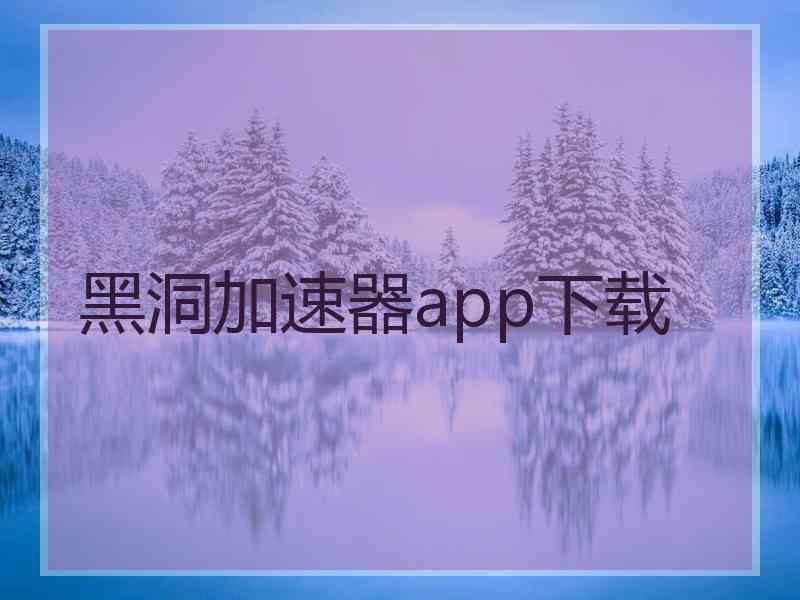 黑洞加速器app下载