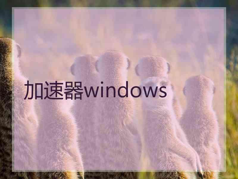 加速器windows