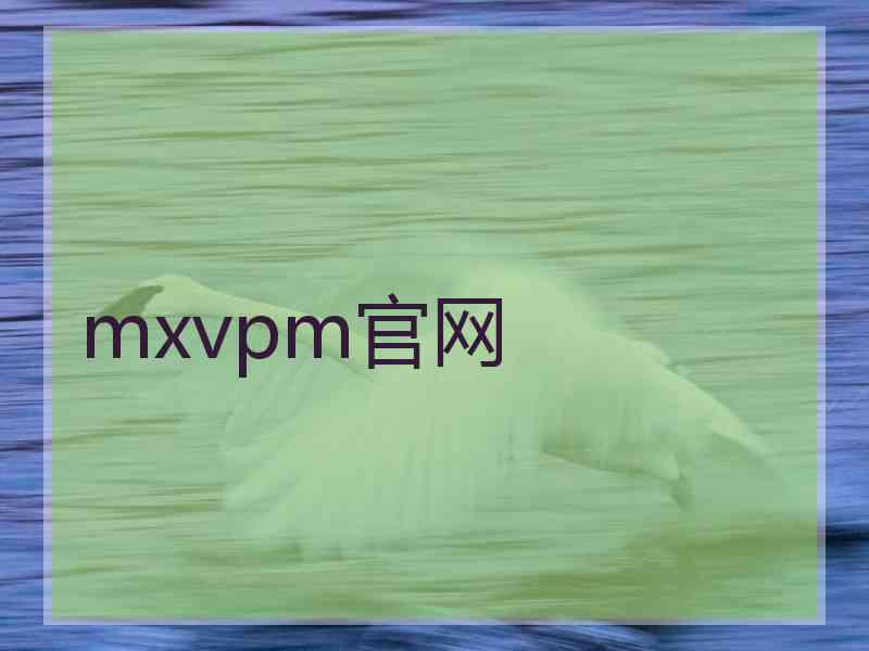 mxvpm官网