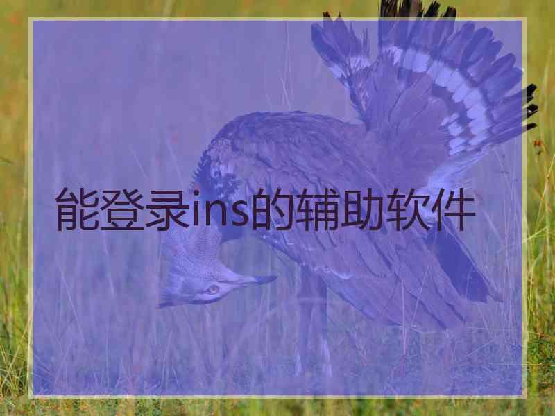 能登录ins的辅助软件