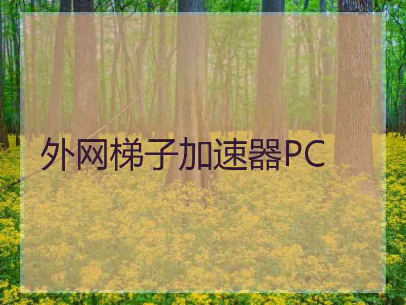 外网梯子加速器PC