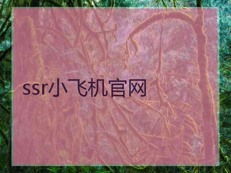 ssr小飞机官网