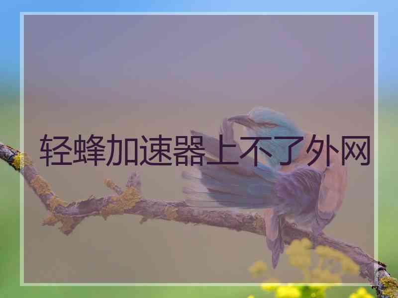 轻蜂加速器上不了外网