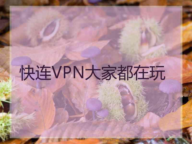 快连VPN大家都在玩