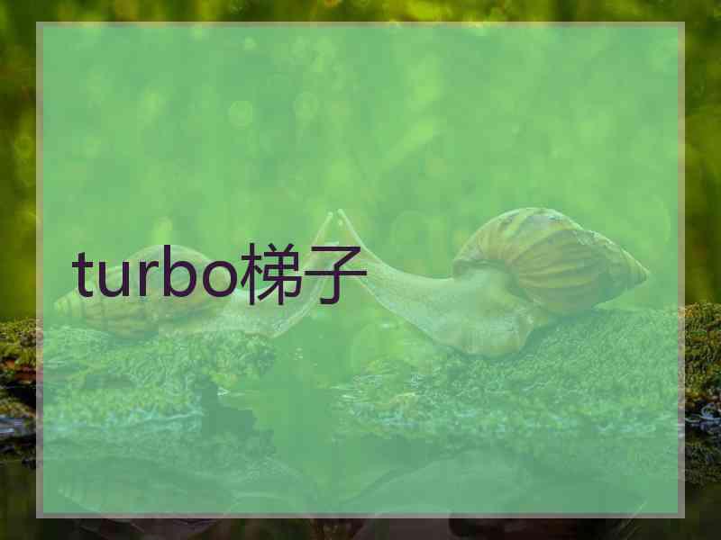 turbo梯子