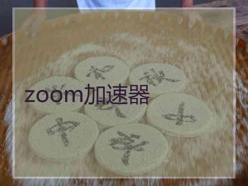 zoom加速器