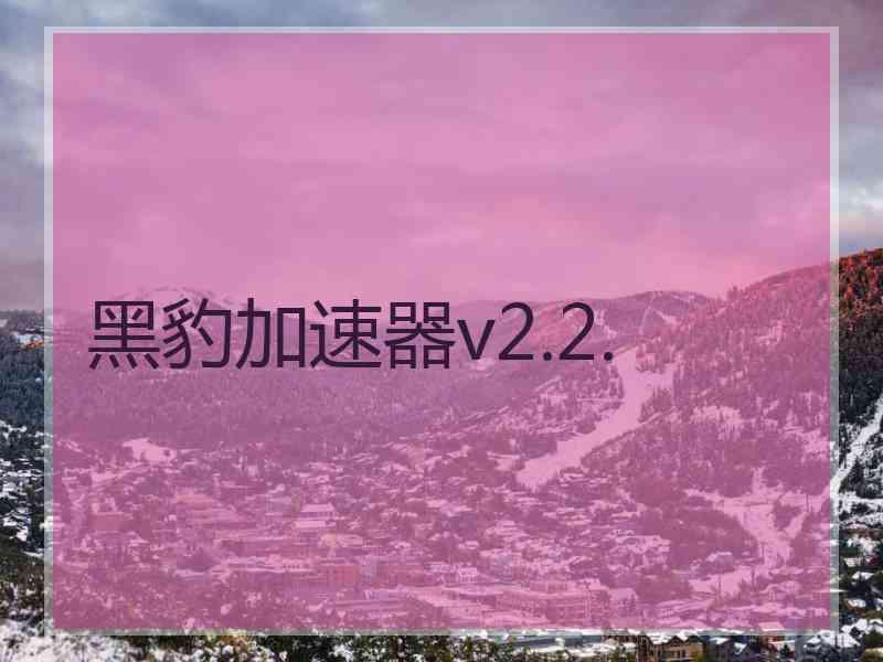 黑豹加速器v2.2.