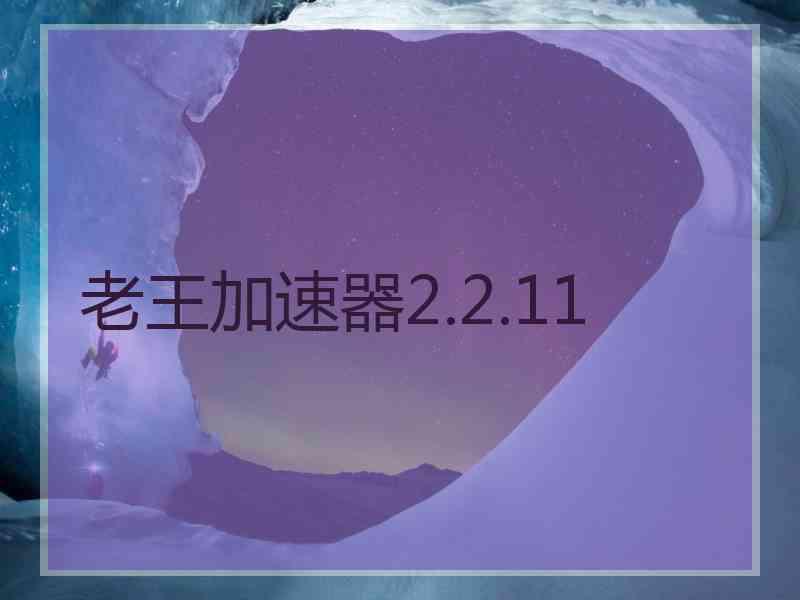 老王加速器2.2.11