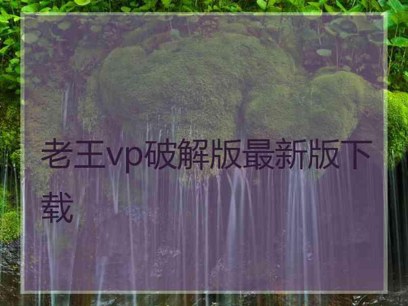 老王vp破解版最新版下载