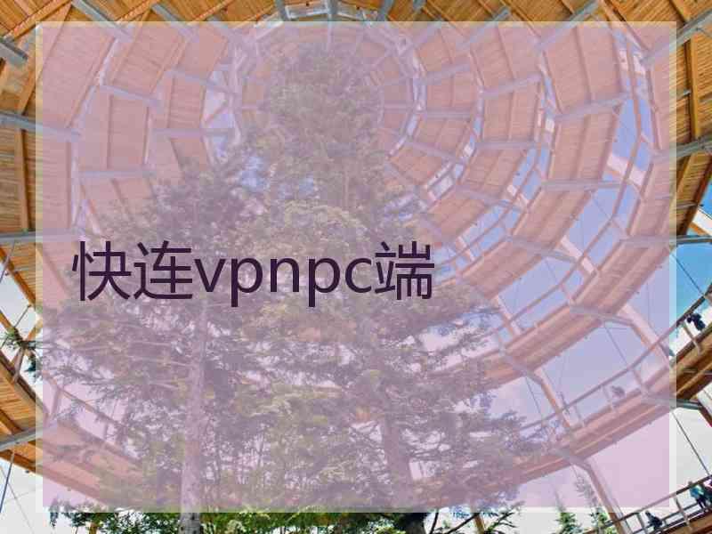 快连vpnpc端