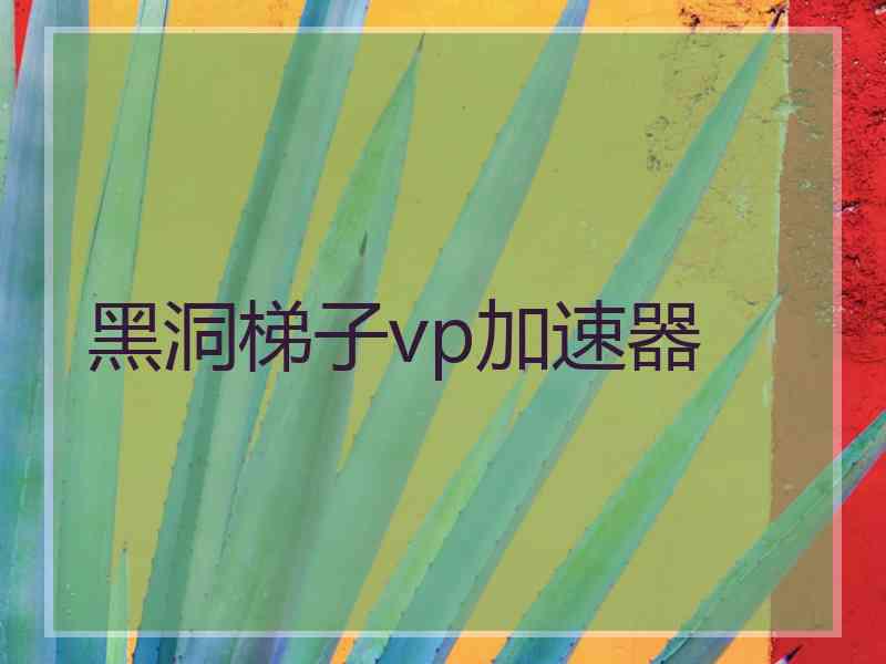 黑洞梯子vp加速器