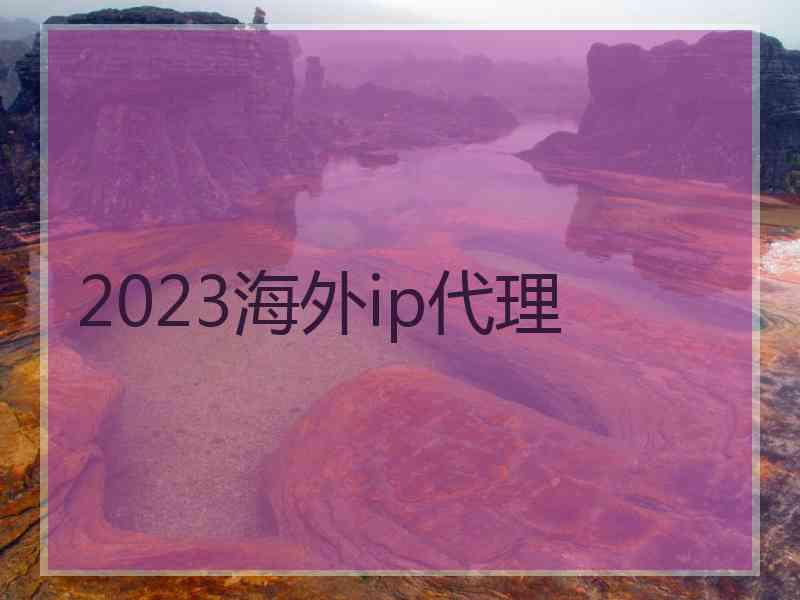 2023海外ip代理