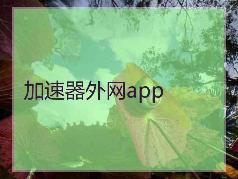 加速器外网app