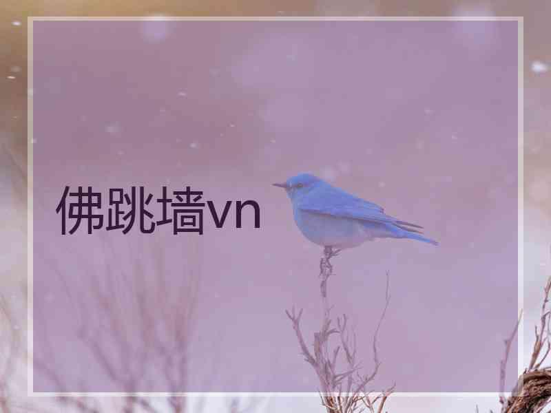 佛跳墙vn