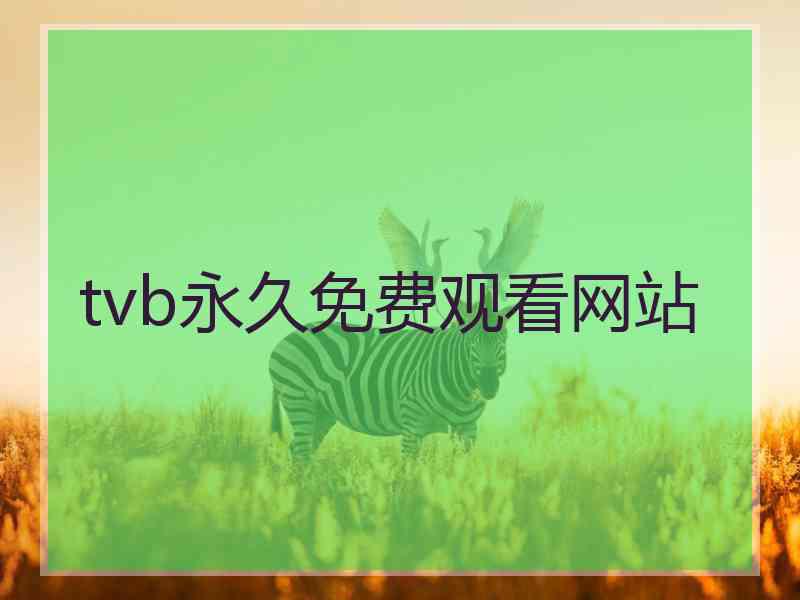 tvb永久免费观看网站