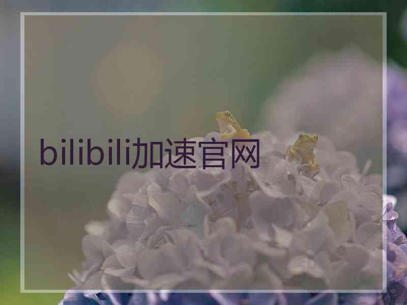 bilibili加速官网