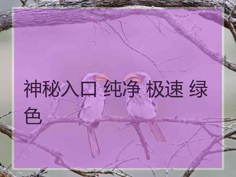 神秘入口 纯净 极速 绿色