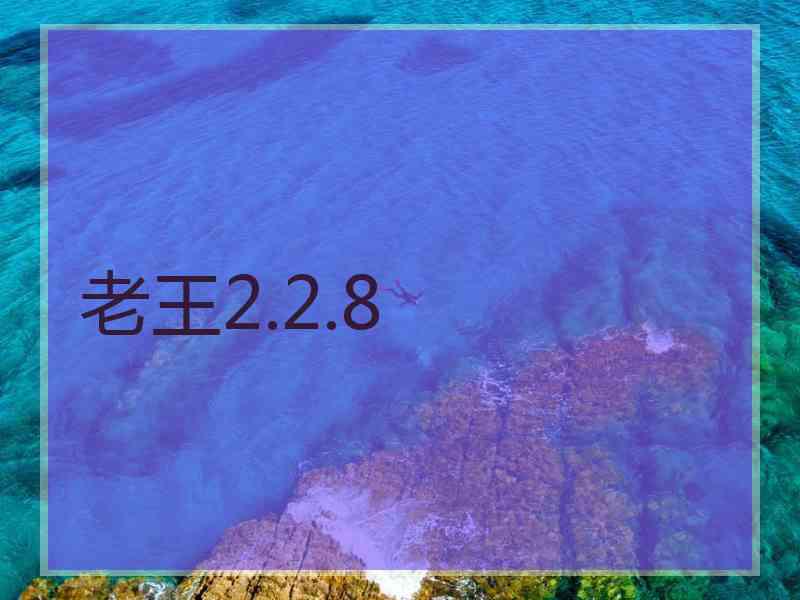 老王2.2.8