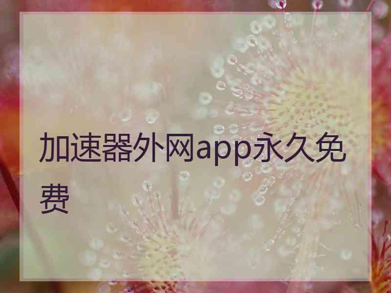 加速器外网app永久免费