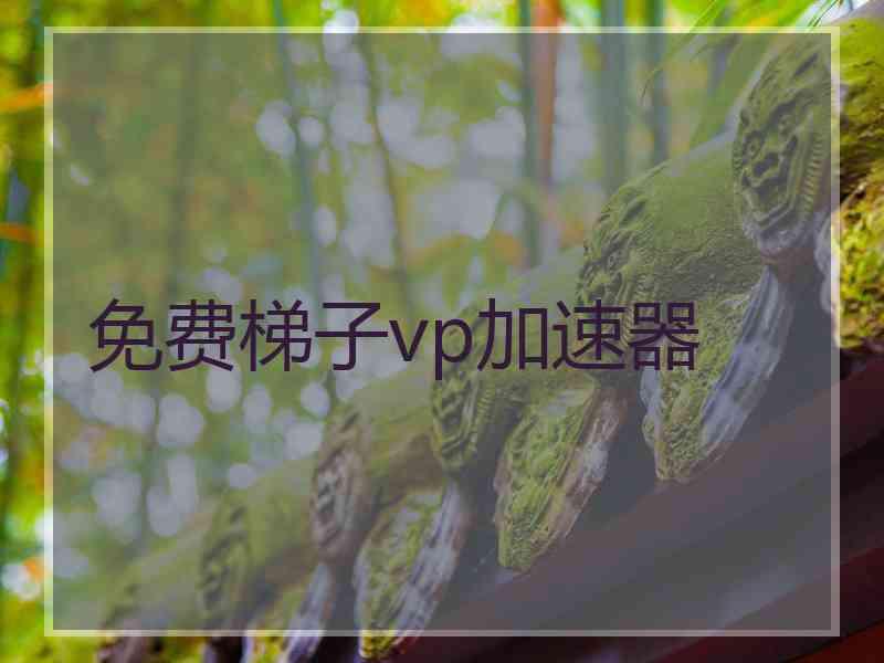 免费梯子vp加速器