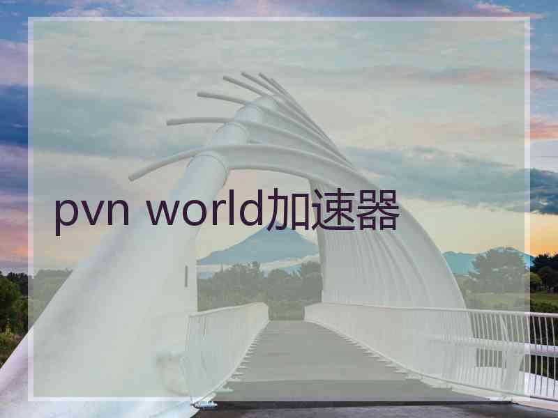 pvn world加速器