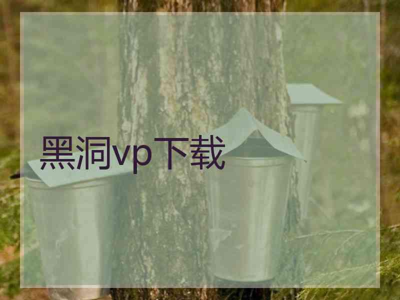 黑洞vp下载