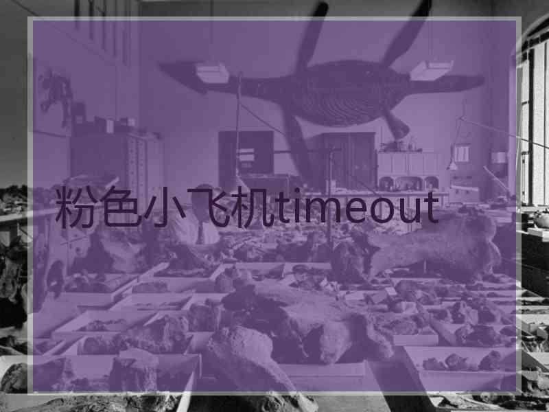 粉色小飞机timeout