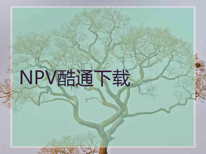 NPV酷通下载