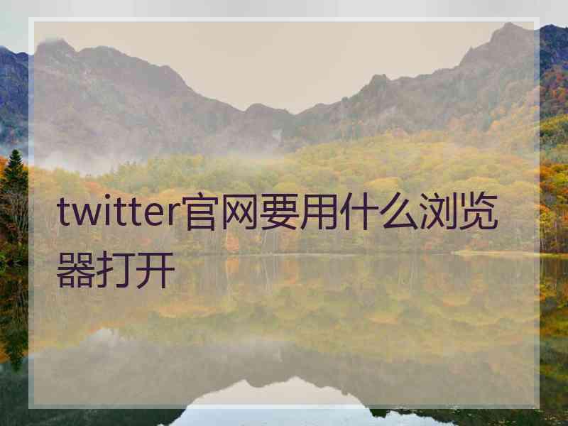 twitter官网要用什么浏览器打开