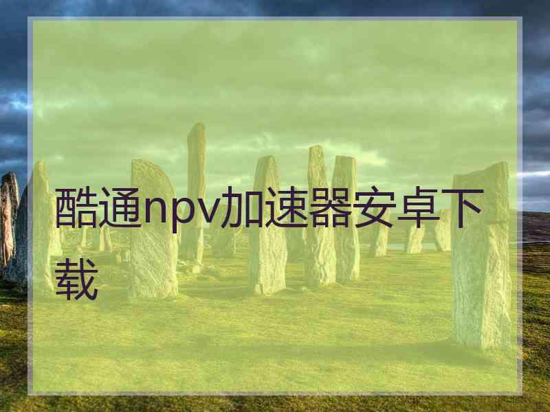 酷通npv加速器安卓下载