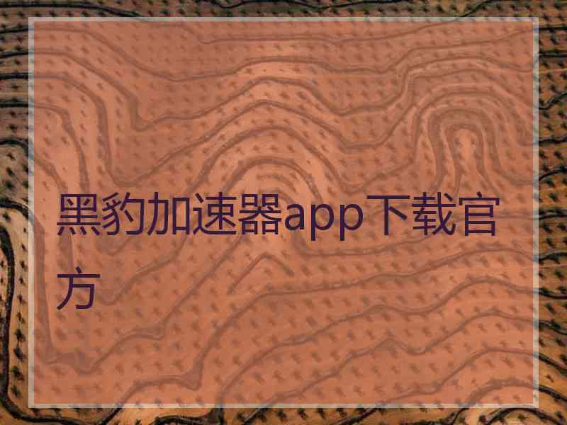 黑豹加速器app下载官方