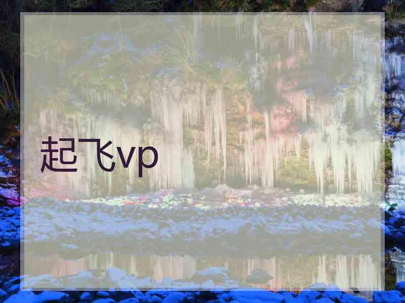 起飞vp