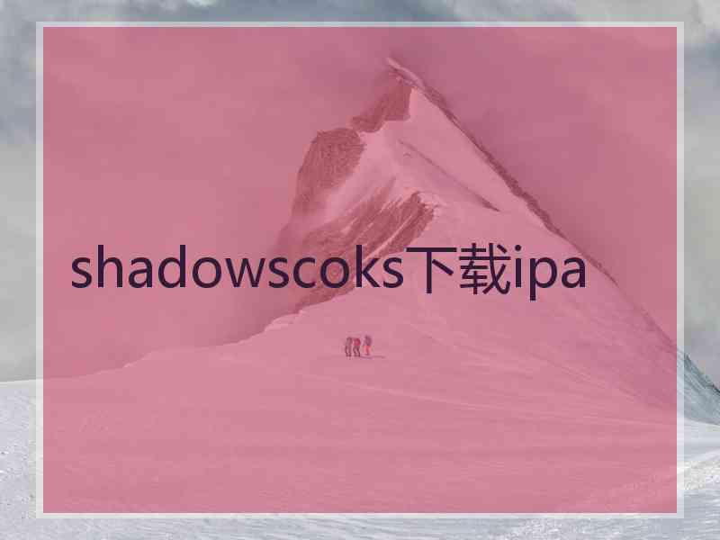 shadowscoks下载ipa