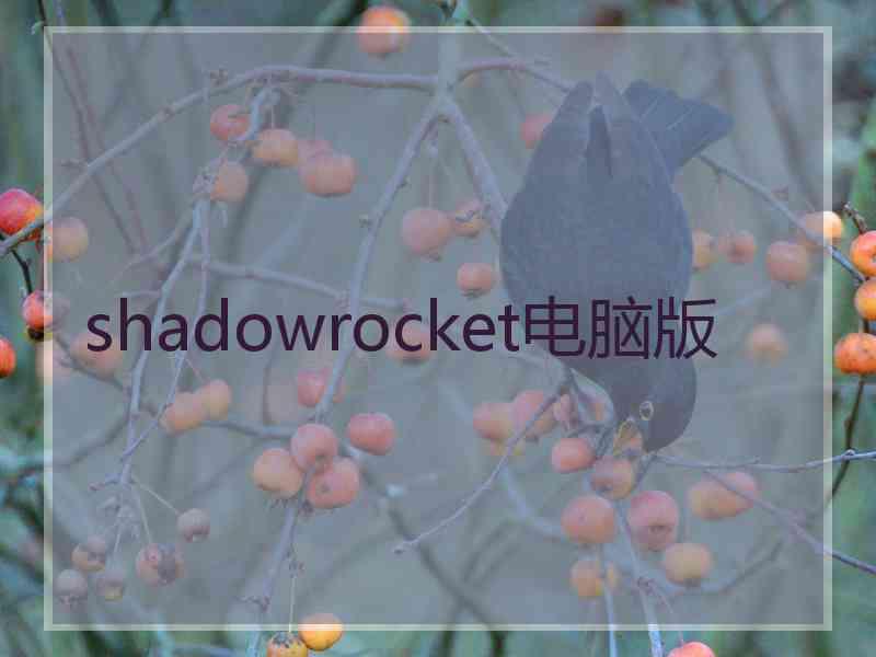 shadowrocket电脑版