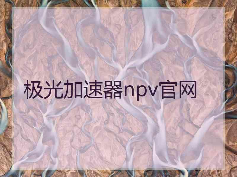 极光加速器npv官网