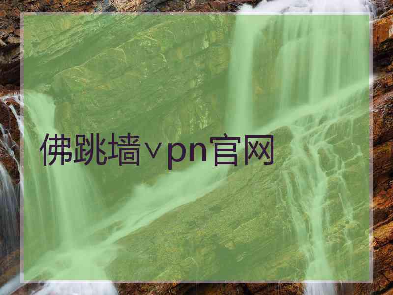 佛跳墙∨pn官网