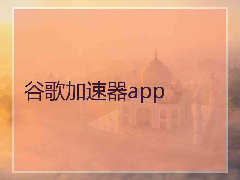 谷歌加速器app