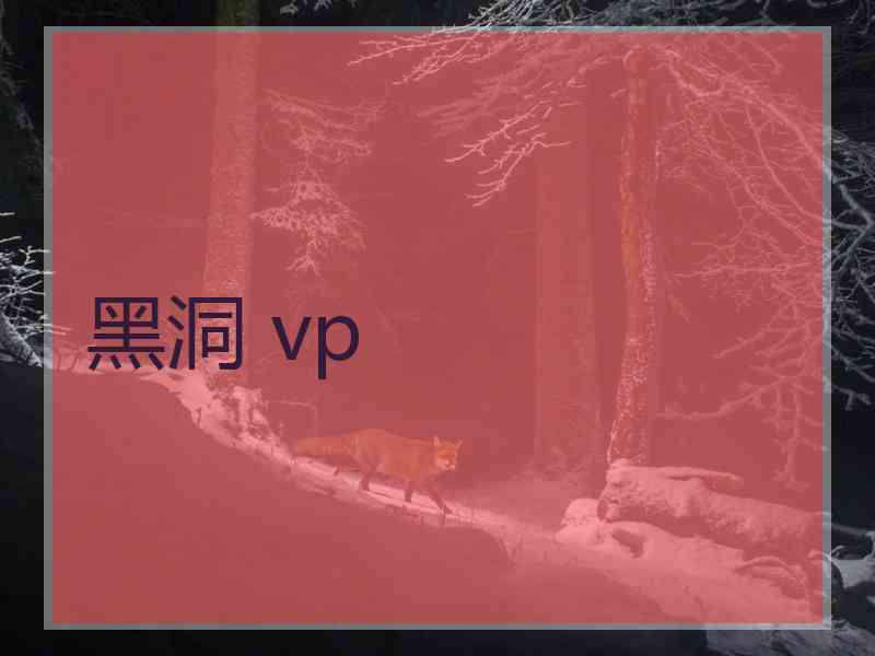 黑洞 vp