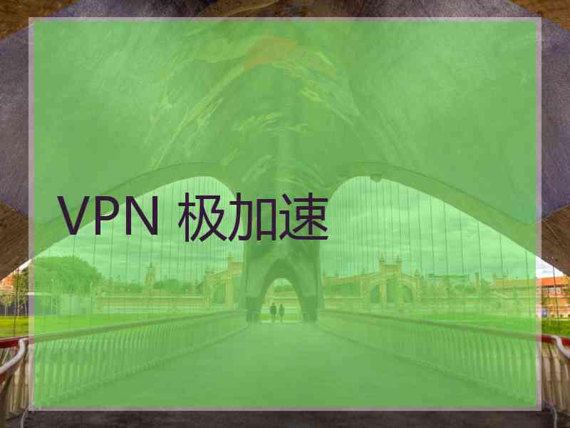 VPN 极加速