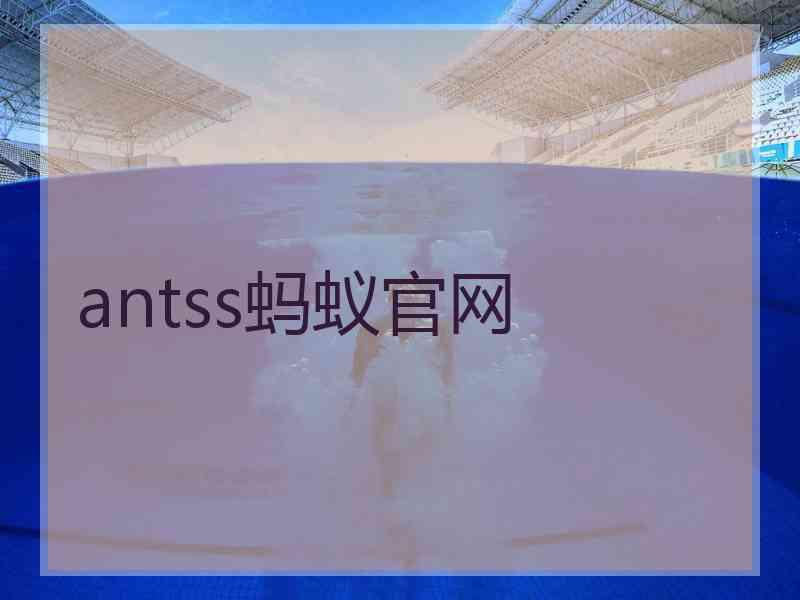 antss蚂蚁官网