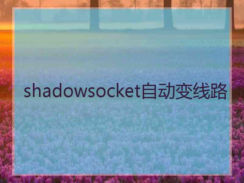 shadowsocket自动变线路