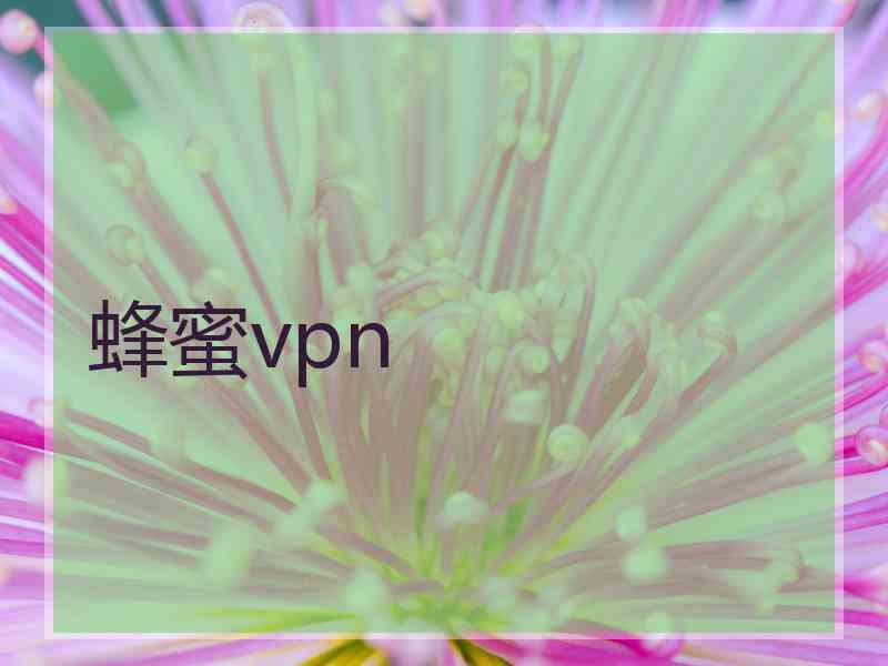 蜂蜜vpn