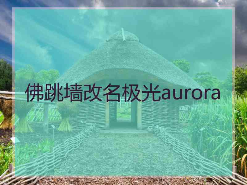 佛跳墙改名极光aurora