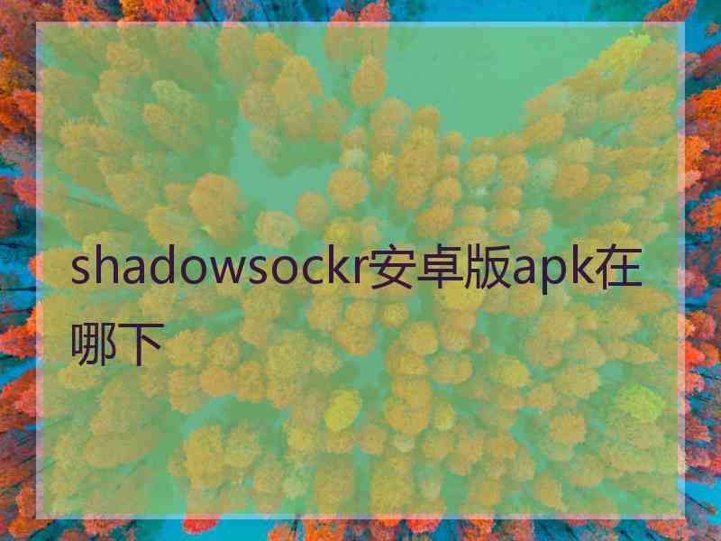 shadowsockr安卓版apk在哪下