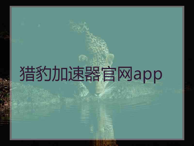 猎豹加速器官网app