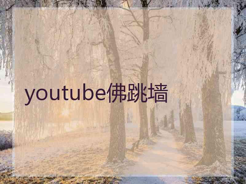 youtube佛跳墙