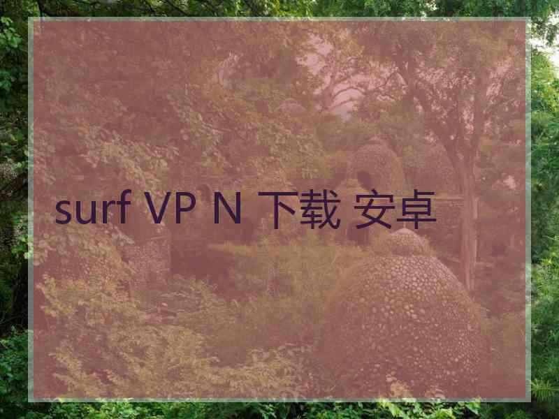 surf VP N 下载 安卓