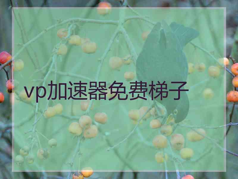 vp加速器免费梯子